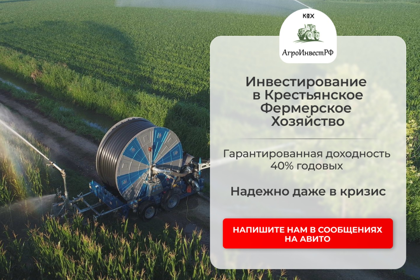 АгроИнвестРФ. Профиль пользователя на Авито