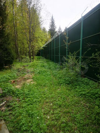 Участок 25 сот. (ИЖС)