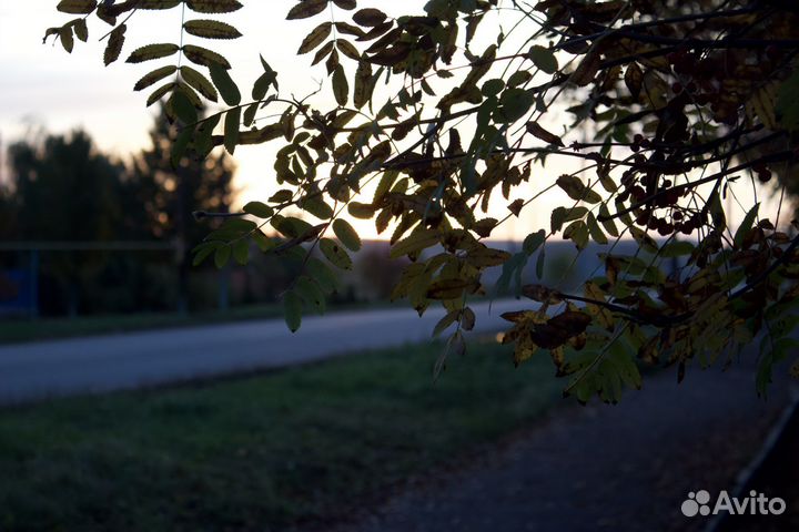 Услуги фотографа