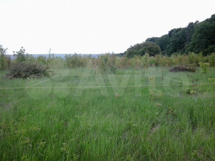 Участок 1,3 га (СНТ, ДНП)