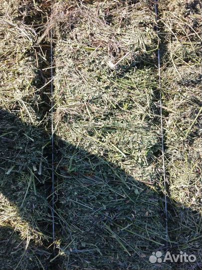 Сено в тюках