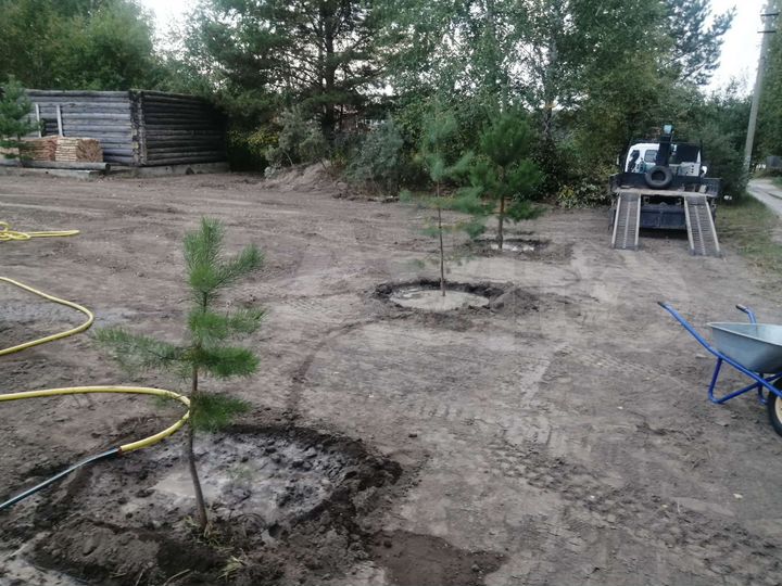 Участок 10 сот. (СНТ, ДНП)