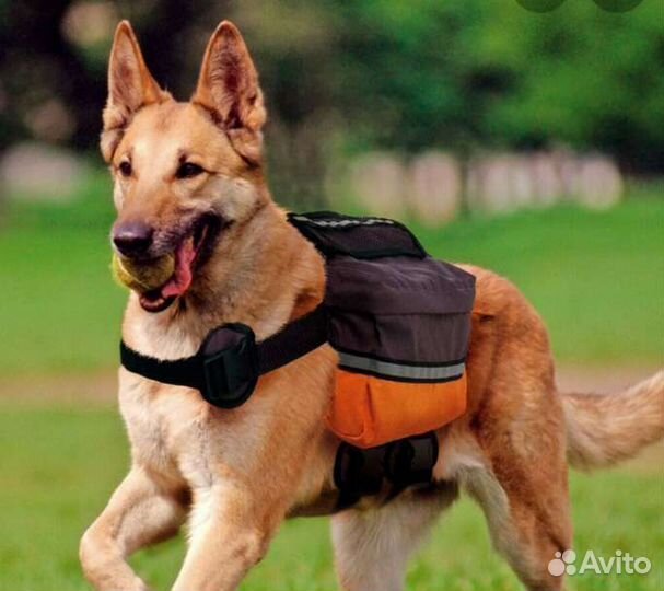 Шлейка сумка