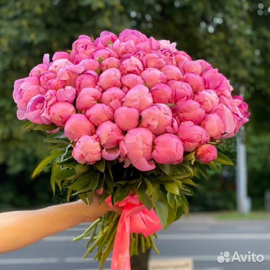 Пионы доставка