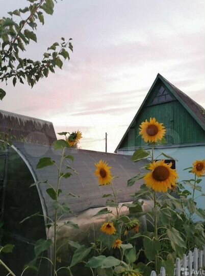 Дача 20 м² на участке 4 сот.