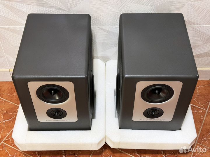 Barefoot Footprint-02 - пара мониторов