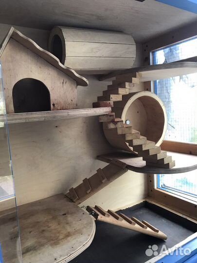 Клетка-витрина