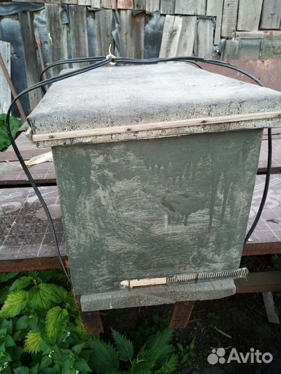 Ловушка для пчел