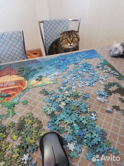 Пазл 1500, все детали на месте