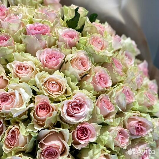 Букет из 101 розы