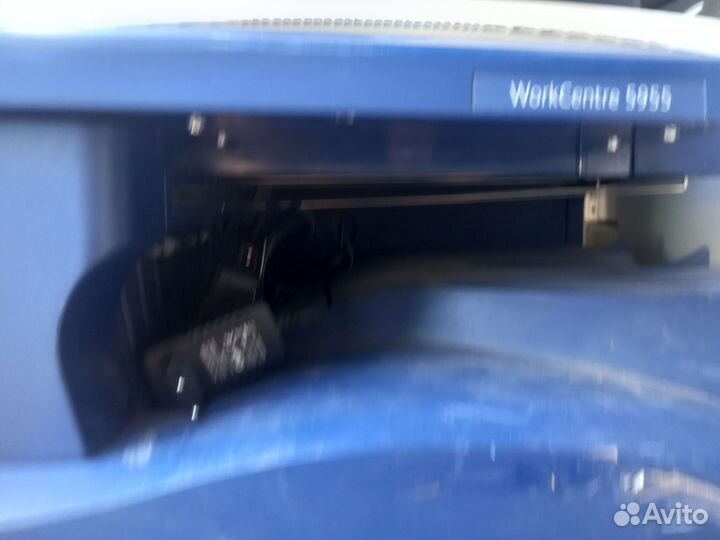 Мфу xerox WorkCentre 5955