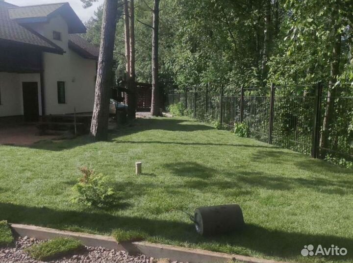 Качественный газон спортивный