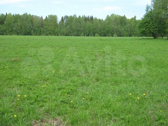 Участок 56 га (СНТ, ДНП)