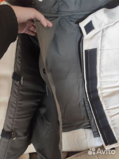 Костюм для дрессировки собак