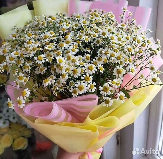 Цветы ромашки. Букеты ромашек. Цветы доставка