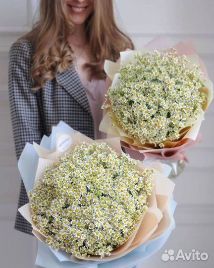 Букеты. Доставка ромашек