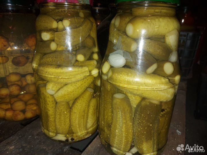 Соленья 2022, картофель