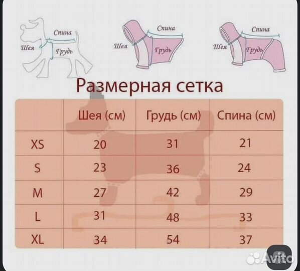 Одежда для собаки