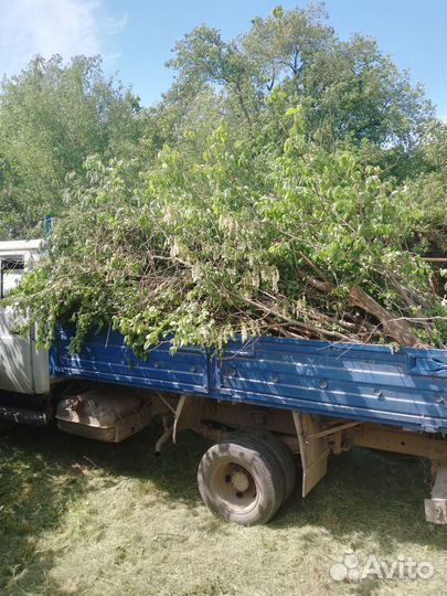 Вывоз любого мусора