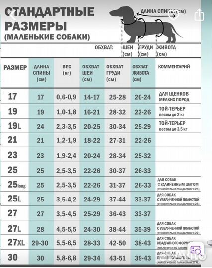 Одежда для собак