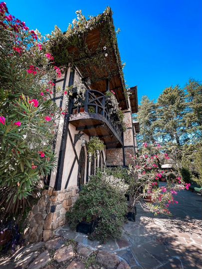 Дом 280 м² на участке 12 сот.