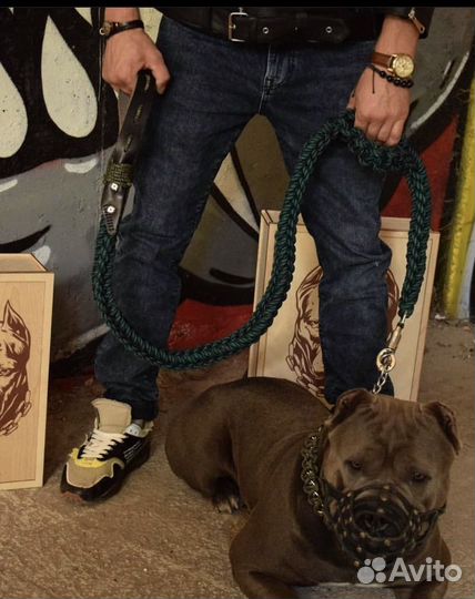 Поводок для крупных собак