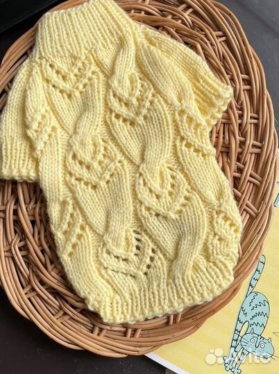 Одежда для собак