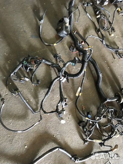 Электропроводка моторная + блок предохранителей