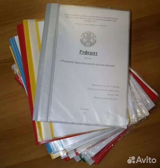 Помощь с оформлением рефератов, докладов и т. д