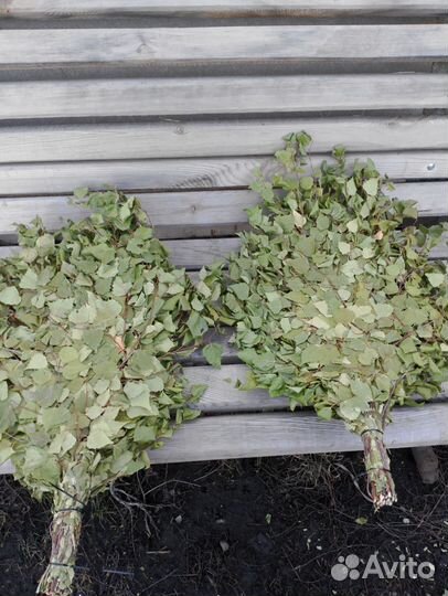 Березовые веники для бани