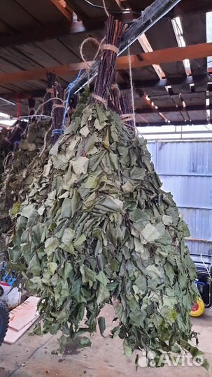 Березовые веники оптом