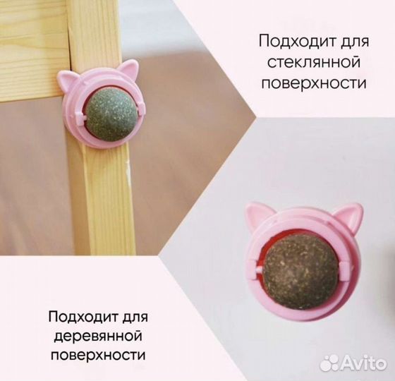 Кошачья мята