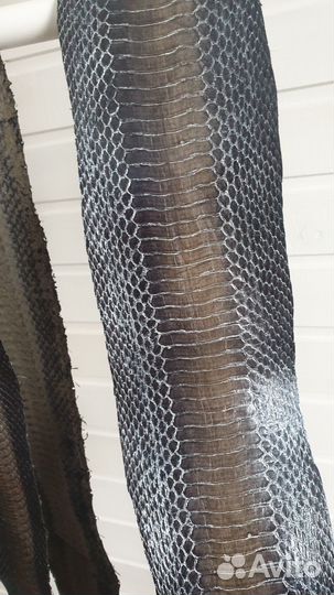 Натуральная змеиная кожа