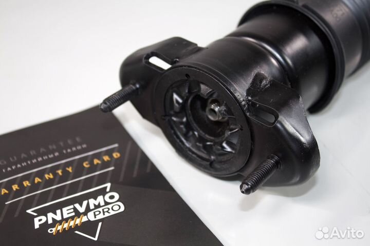 Амортизатор задний на Mercedes W251 R-Class