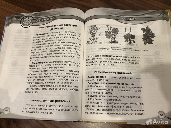 Справочник школьника 1-4 класс эксмо