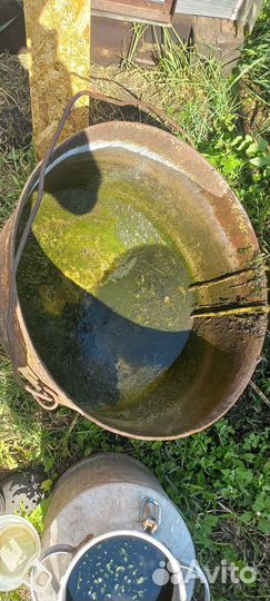 Казан чугунный 80-100 литров