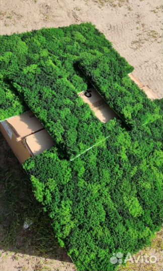 Экопанели из мха, 25х50 см от производителя