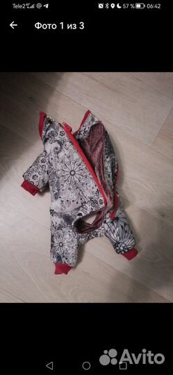 Комбезон для собаки