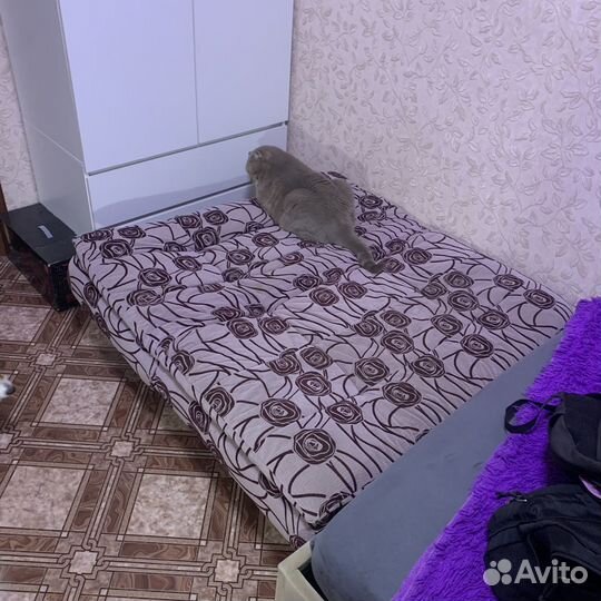 Мини диван раскладной