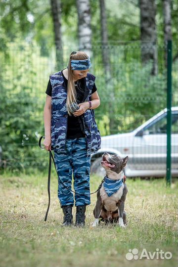 Услуги кинолога