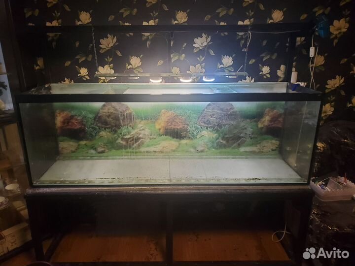 Аквариум