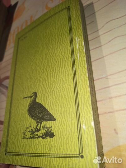 Записки ружейного охотника Оренбургской губернии