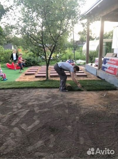 Рулонный газон 