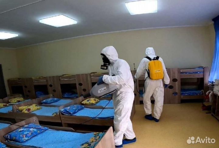 Уничтожение клопов тараканов дезинфекция плесени