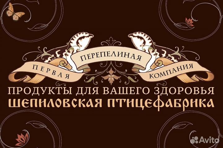Оператор птицефабрики по уходу за птицей