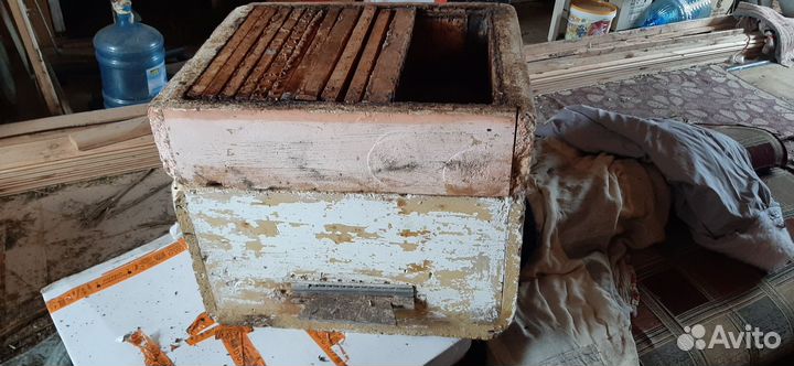 Улей для пчел ППУ