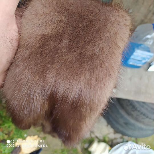 Шкурка животного норка