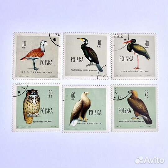 Почтовые марки Польша птицы