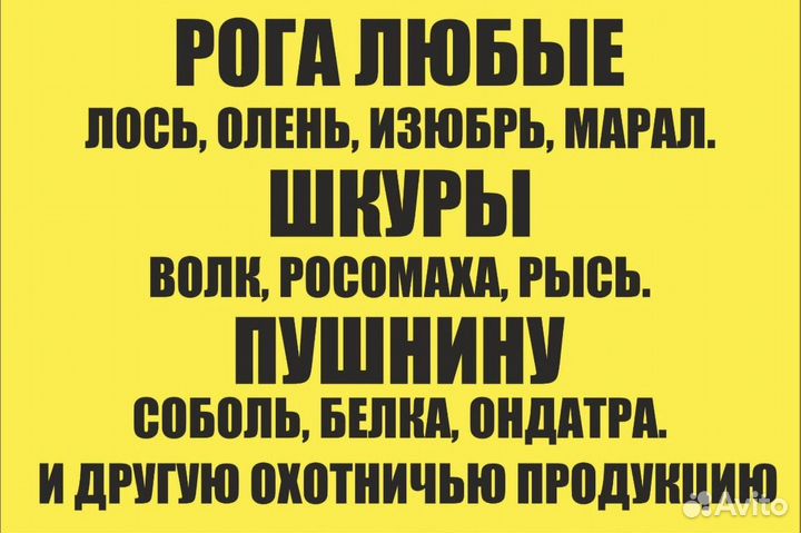 Камус лось олень