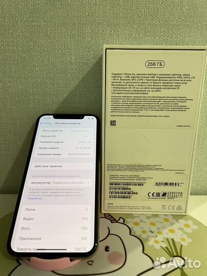 iPhone Xs, 256 ГБ